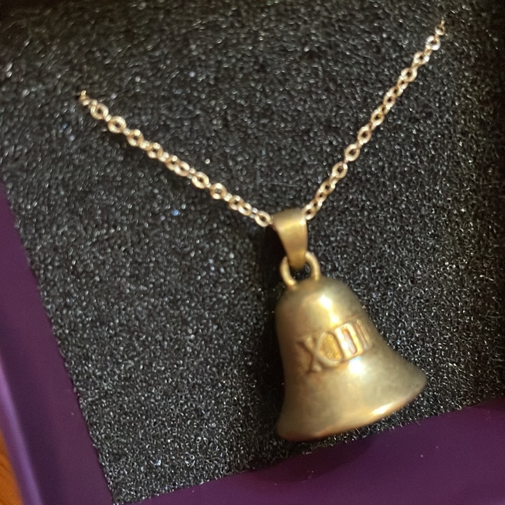 SOLDTaylor Swift Official Speak Now ๐ bell necklace *New* - Picture 3 of 9